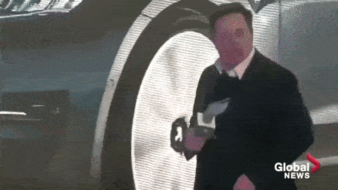 Elon