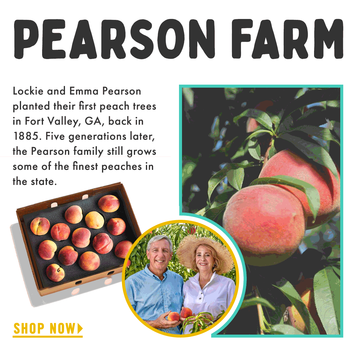 Goldbelly Farmer’s Market Maui Gold Pineapple🍍 Wunsch’s Cherries🍒